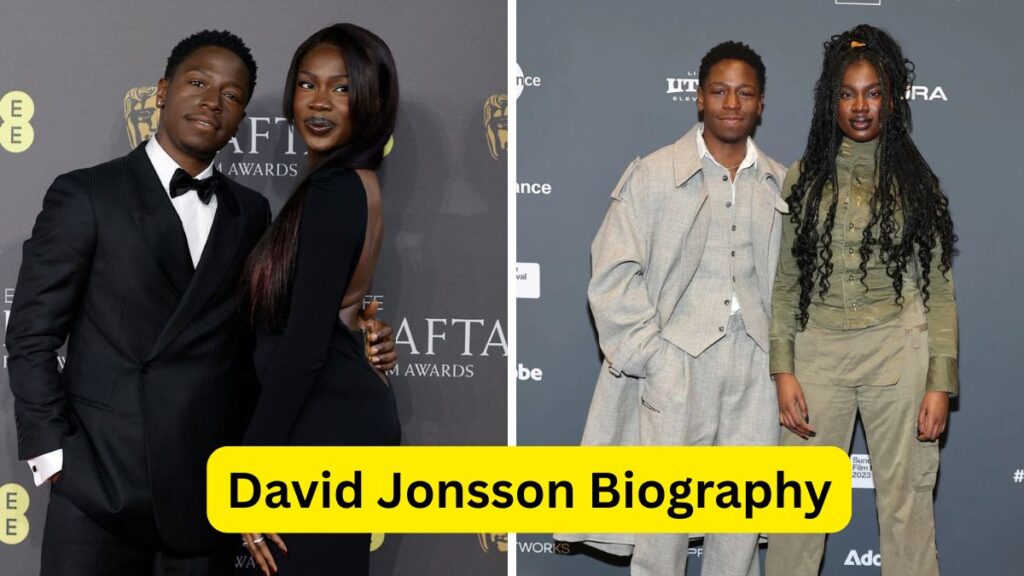 David Jonsson Biography