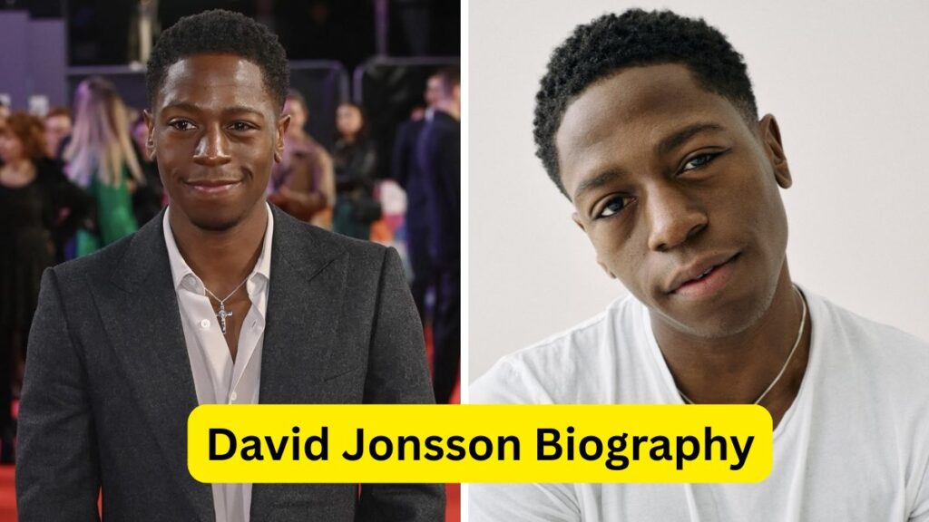 David Jonsson Biography
